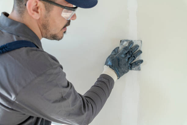 Best Eco-Friendly and Low-VOC Painting  in Camano, WA