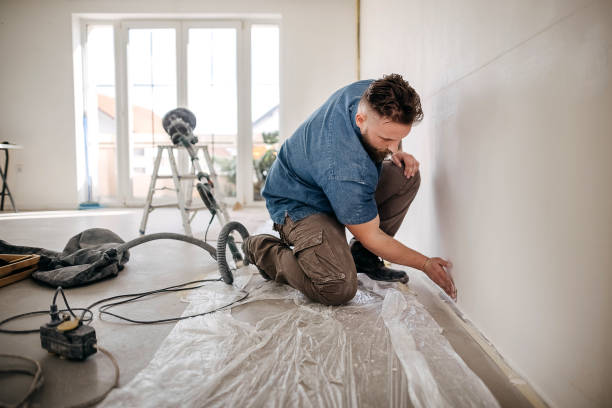 Best Fire-Damaged Drywall Repair  in Camano, WA